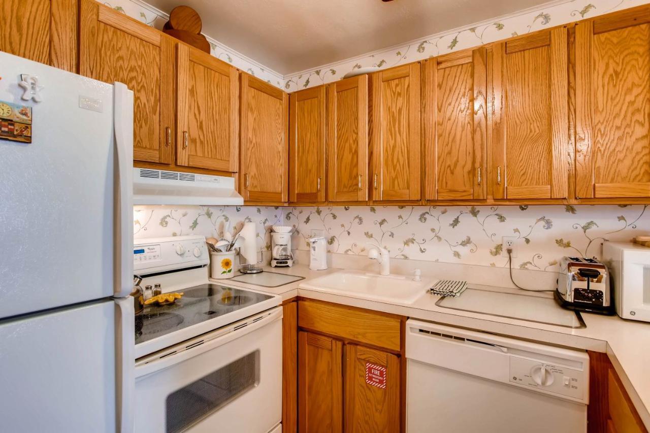 Ski-In Ski-Out Studio Private Balcony & Fireplace Condo Crested Butte Extérieur photo